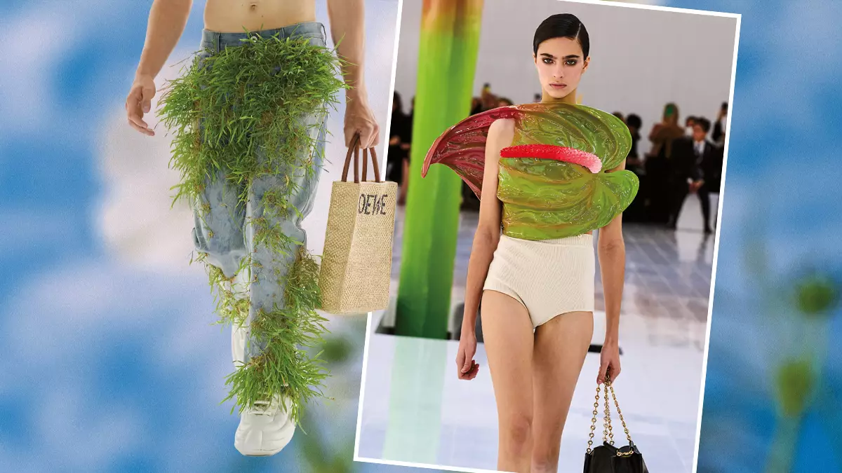Loewe Naturaleza