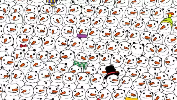 Dudolf en su Facebook y Twitter publicó un dibujo pidiendo a los usuarios encontrar al panda y la imagen se ha vuelto viral pues todos quieren encontrarlo.