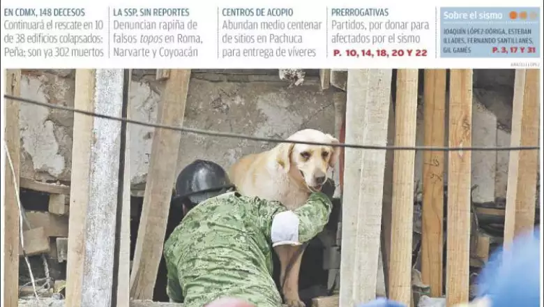 Fake News