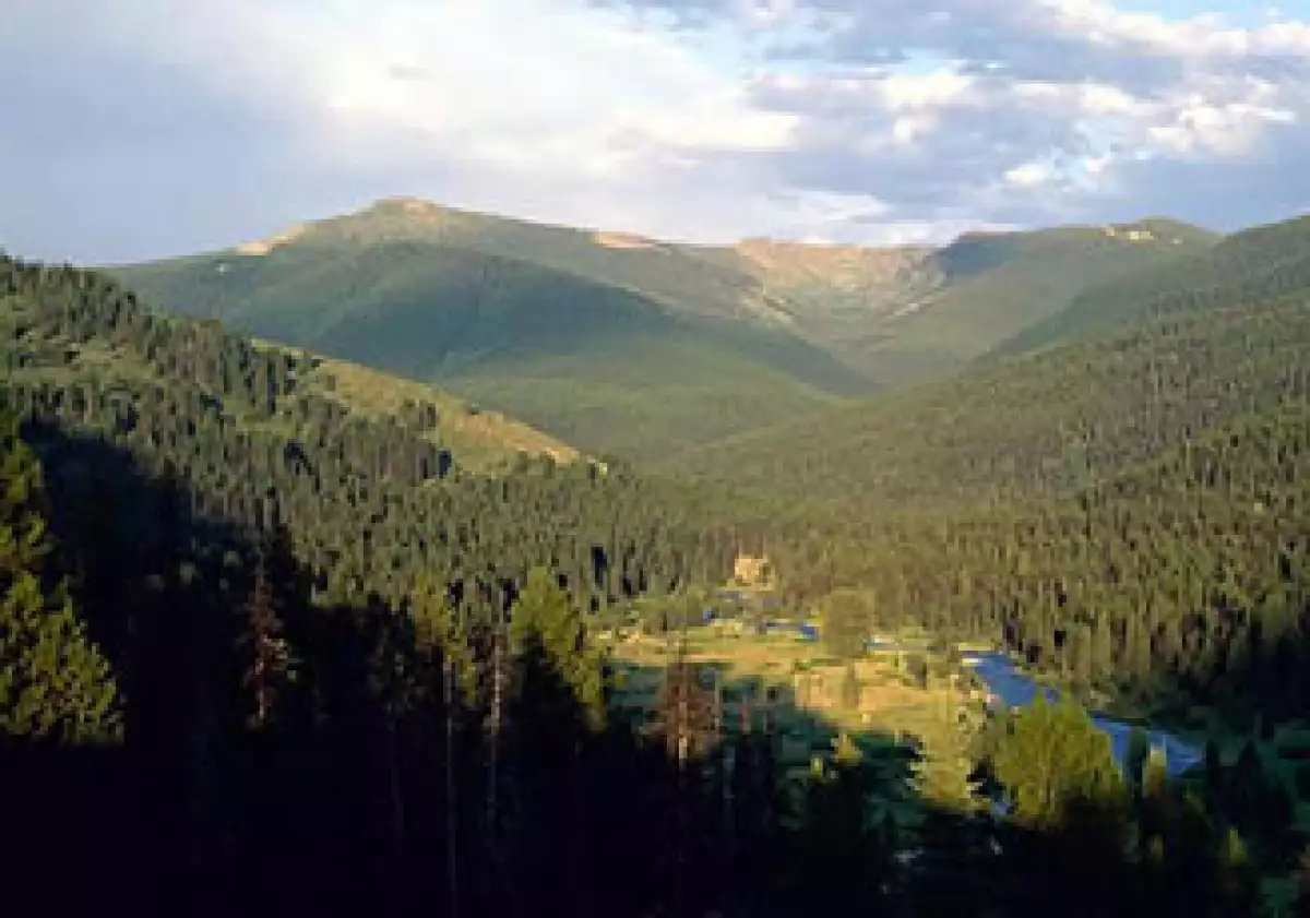 PlanetUp busca generar conciencia sobre el impacto que generan las personas en el medio ambiente. (Foto: AP)