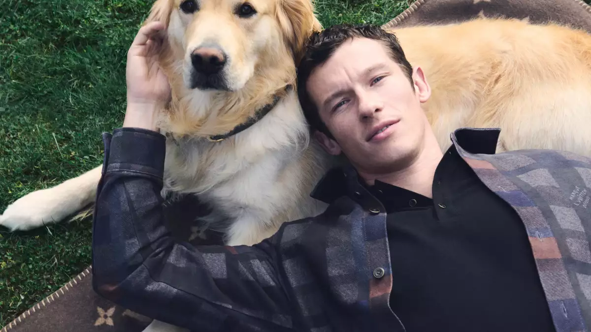 louis-vuitton-perritos