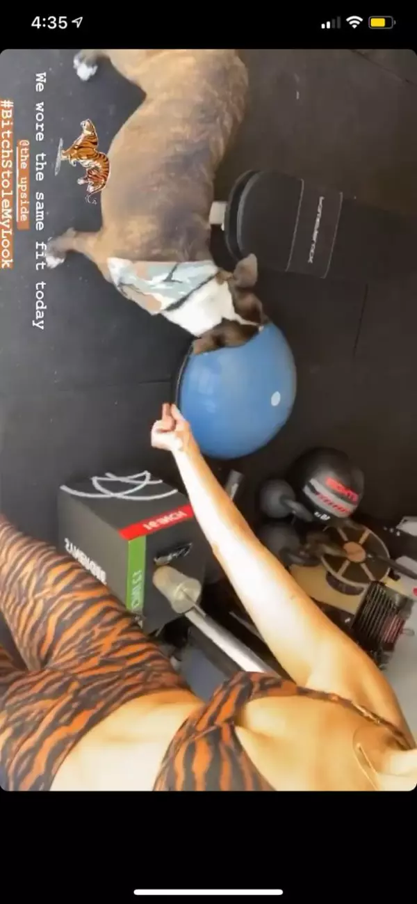 eiza