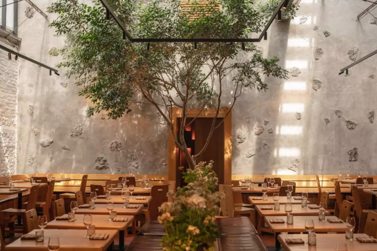 Foto del patio principal del restaurante Máximo Bistrot en la CDMX.