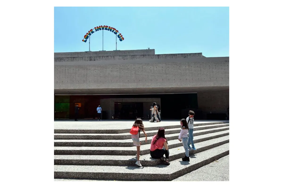 tamayo_curso de verano.jpg