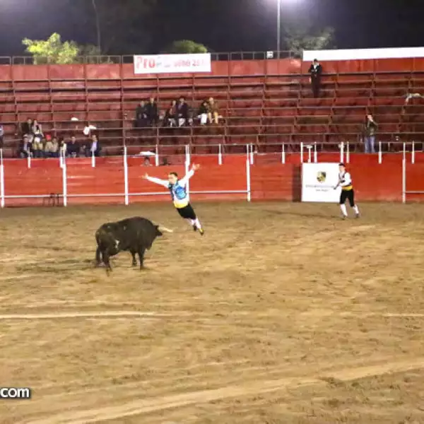 Recortadores de España