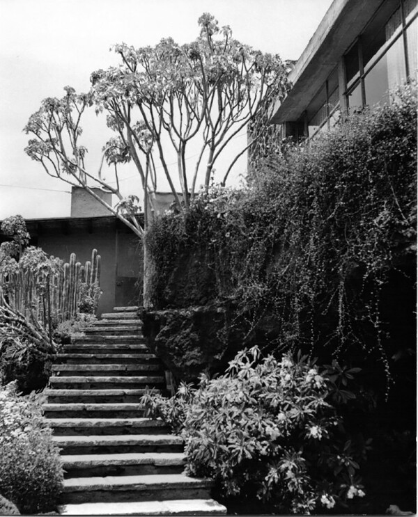 Casa Cetto