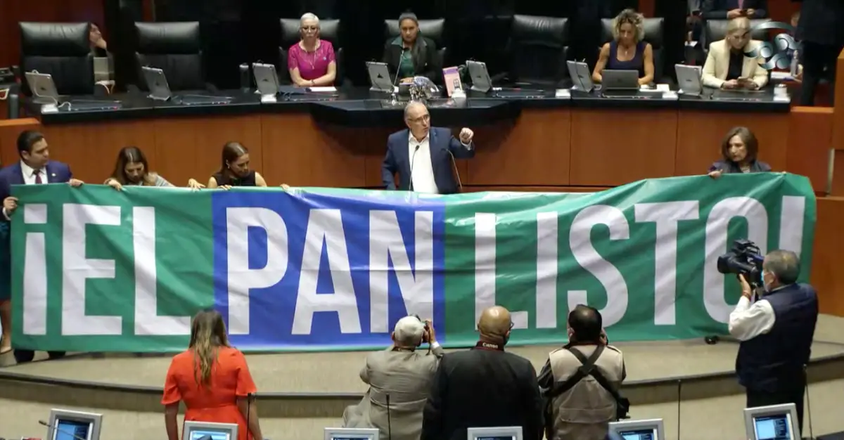 pan-senado