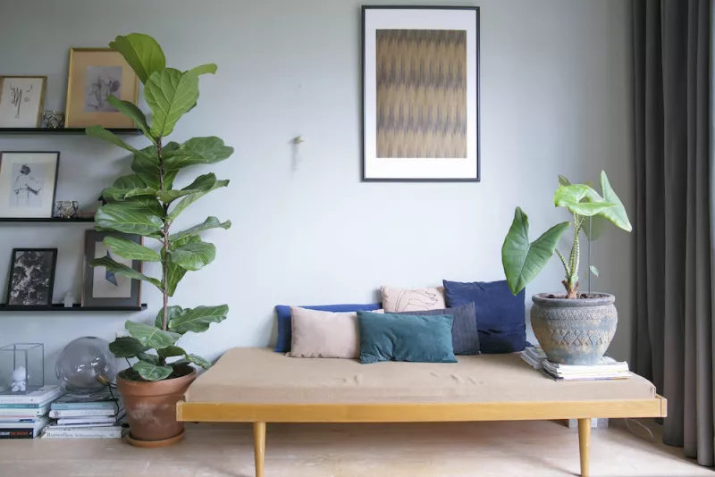 Estilo decorativo: Japandi