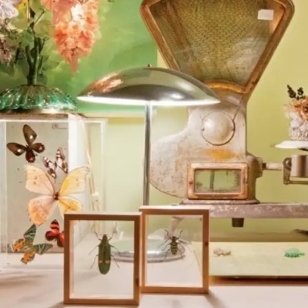 insectos