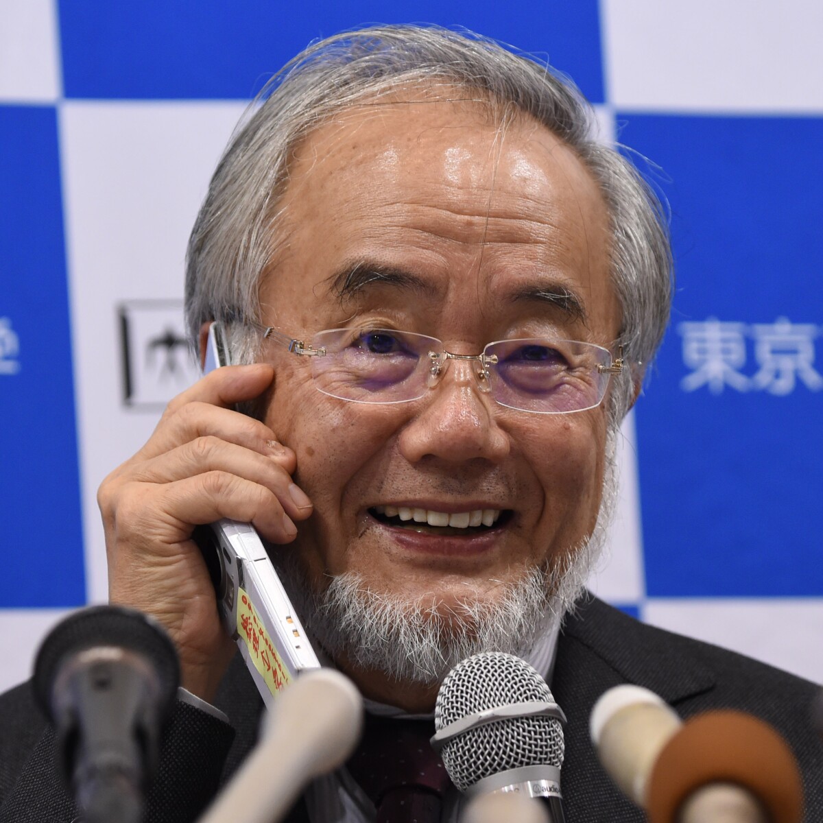 Yoshinori Ohsumi, el japonés que ganó el Nobel de Medicina