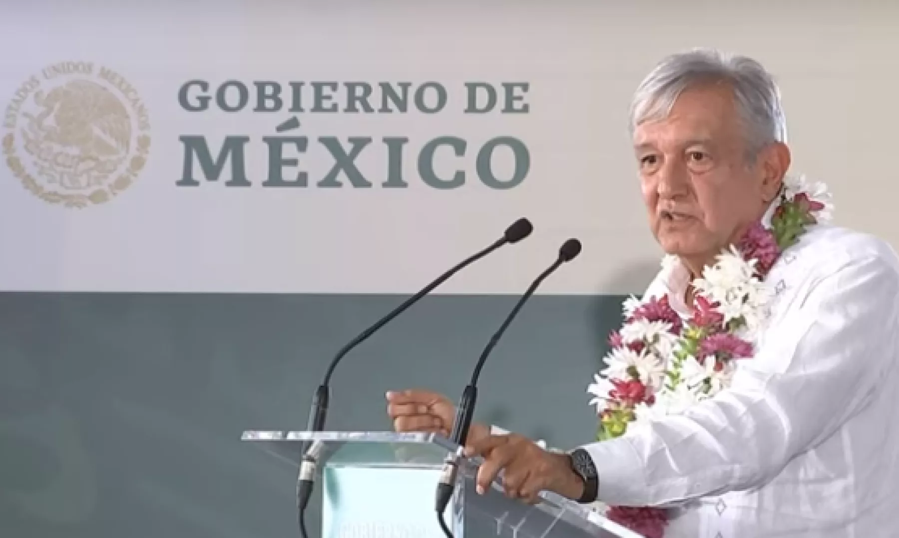 amlo veracruz.png