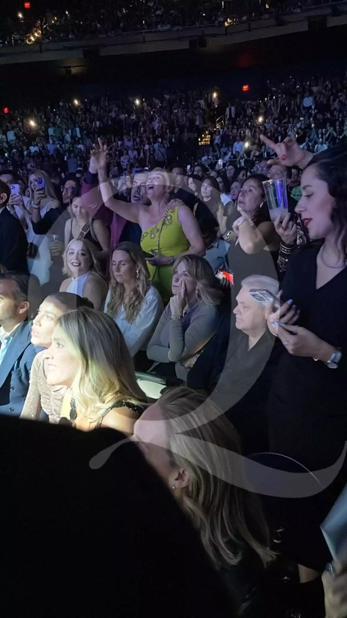 michelle-salas-luis-miguel