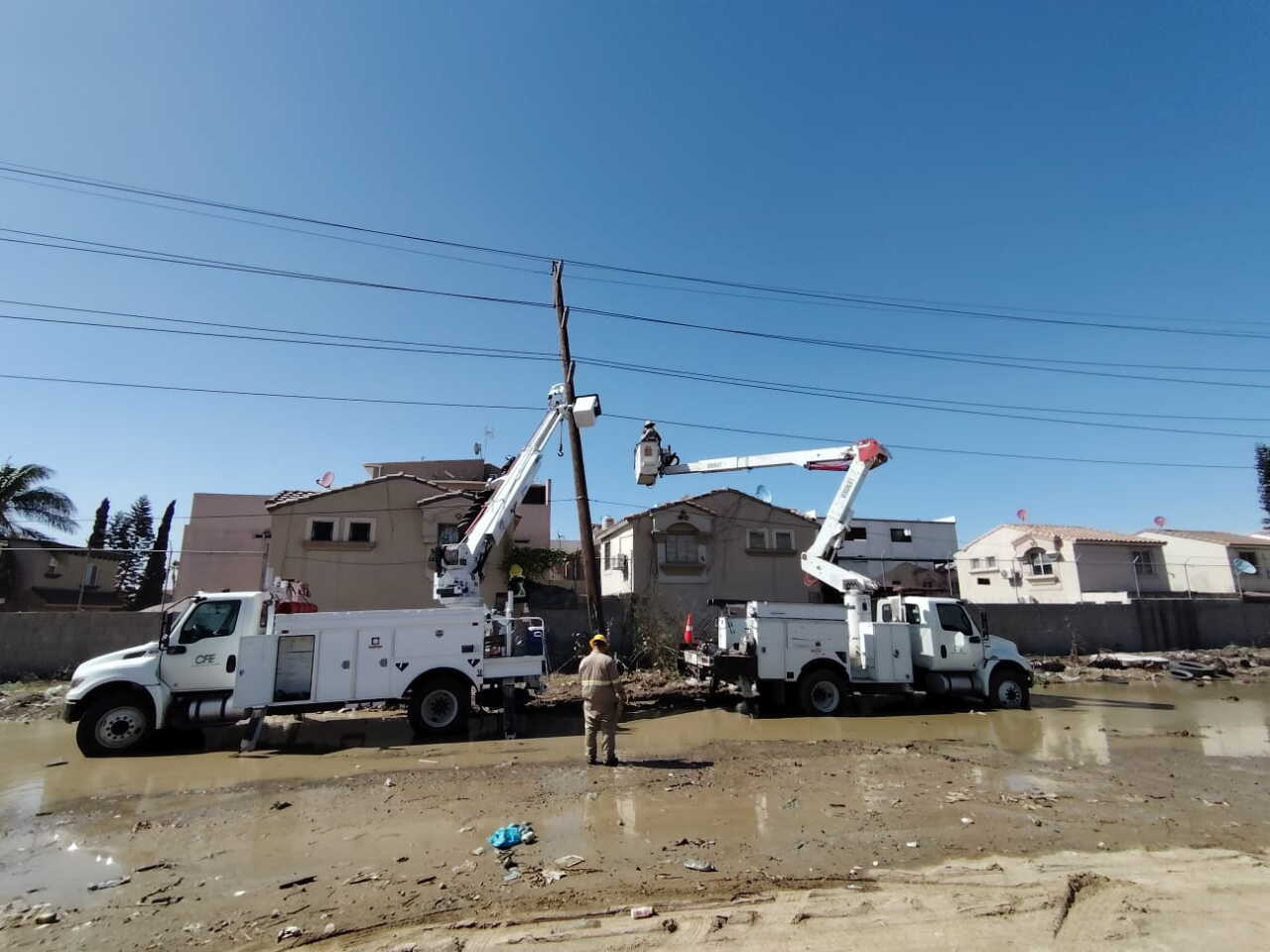 CFE pierde 23,310 millones de pesos en el tercer trimestre por tipo de cambio y obligaciones laborales