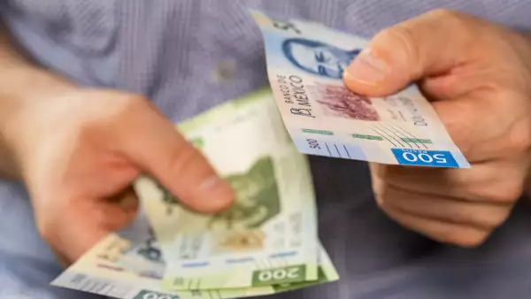 ¿Cómo sé si me darán reparto de utilidades?
