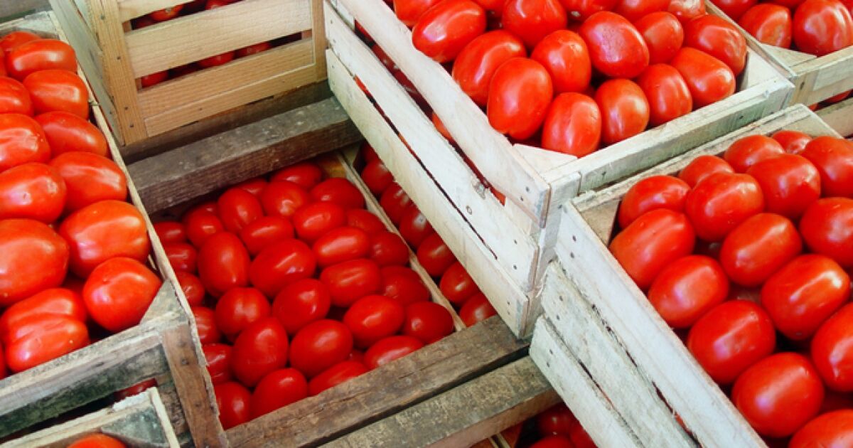¡UNIDOS POR EL CAMPO! GIGANTES AGROAMERICANOS BLINDAN T-MEC