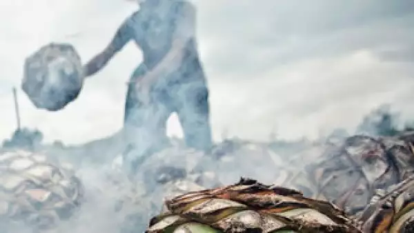 Por mucho tiempo el mezcal fue considerado una bebida de segunda y ahora es un producto cotizado en el extranjero. (Foto: Cortesía Daniel Robles)