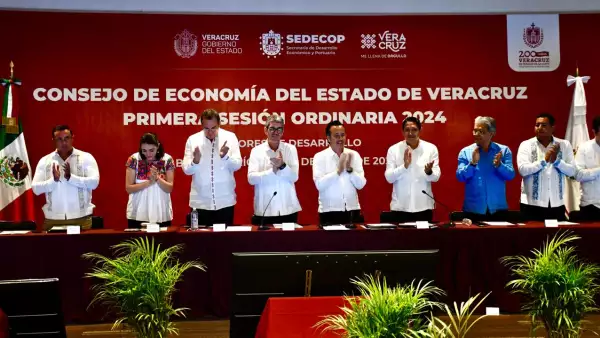 consejo de economía veracruz.jpeg