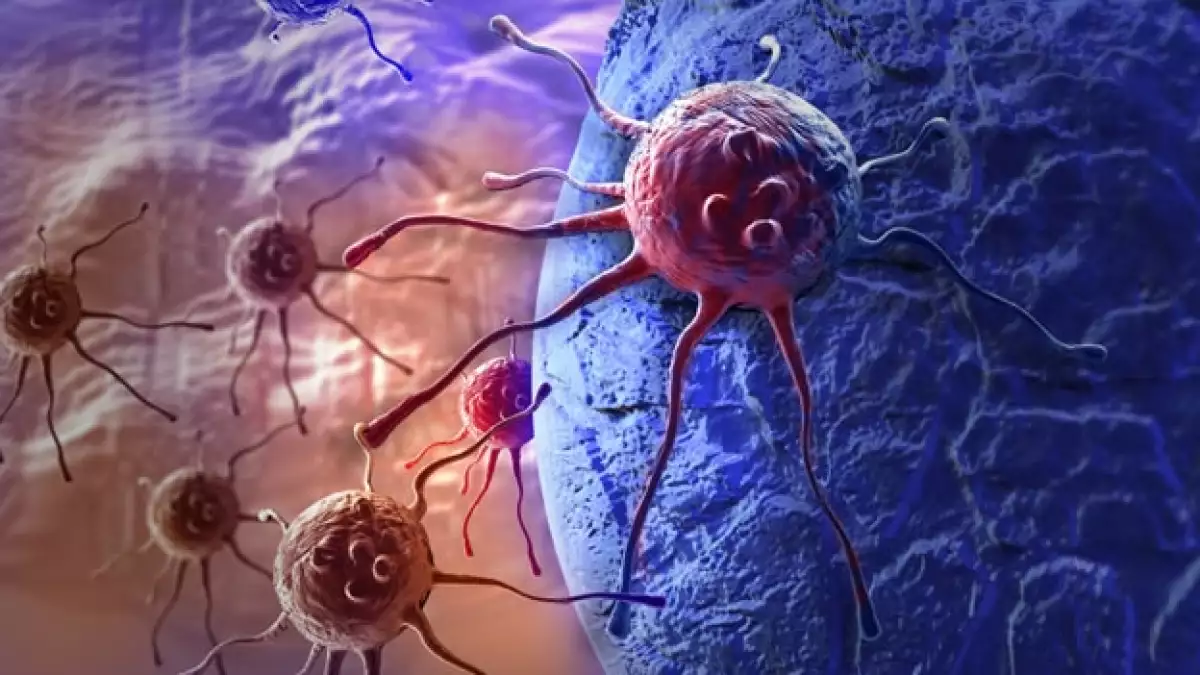 celulas cancerigenas