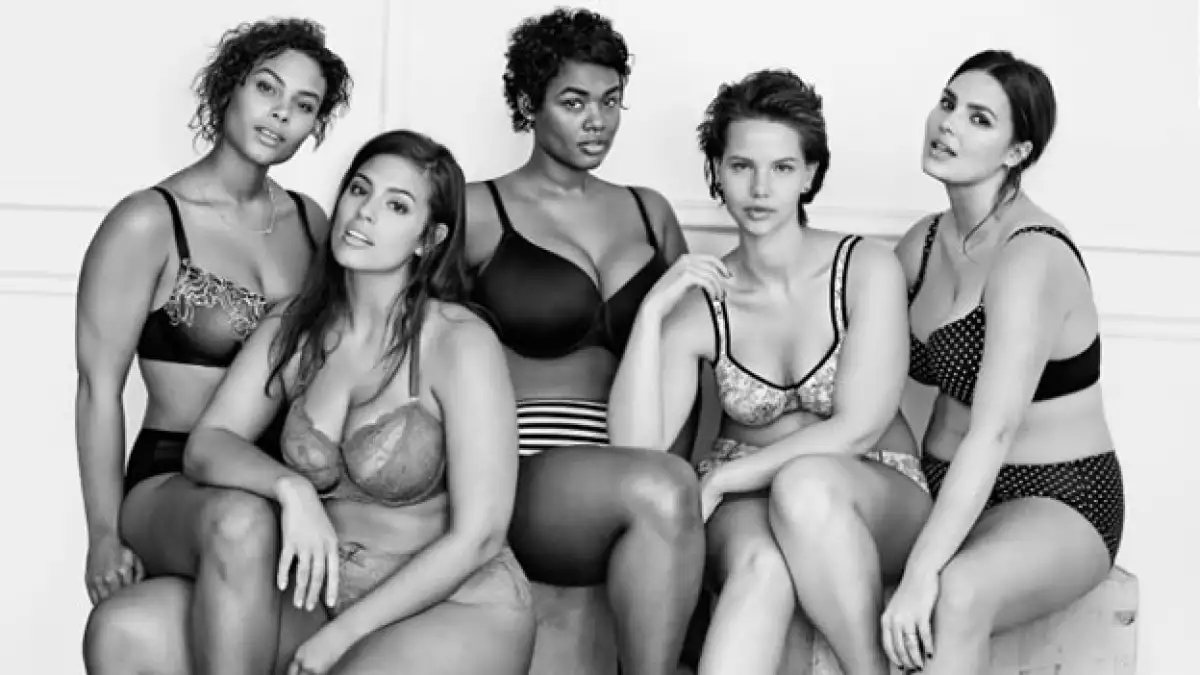La tienda de tallas extras Lane Bryant decidió promocionar su nueva colección burlandose un poco de la reconocida marca de lencería.