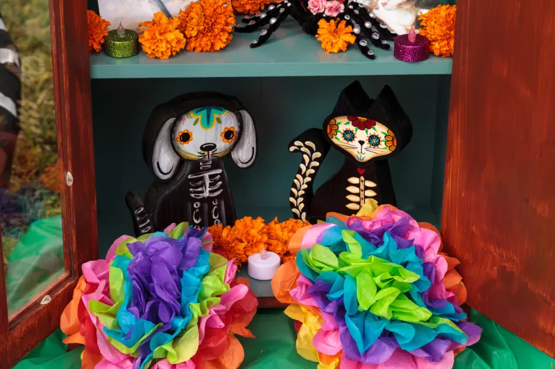 concurso-calaveritas-mascotas.jpg