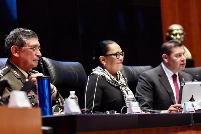 Secretarios de seguridad en el Senado
