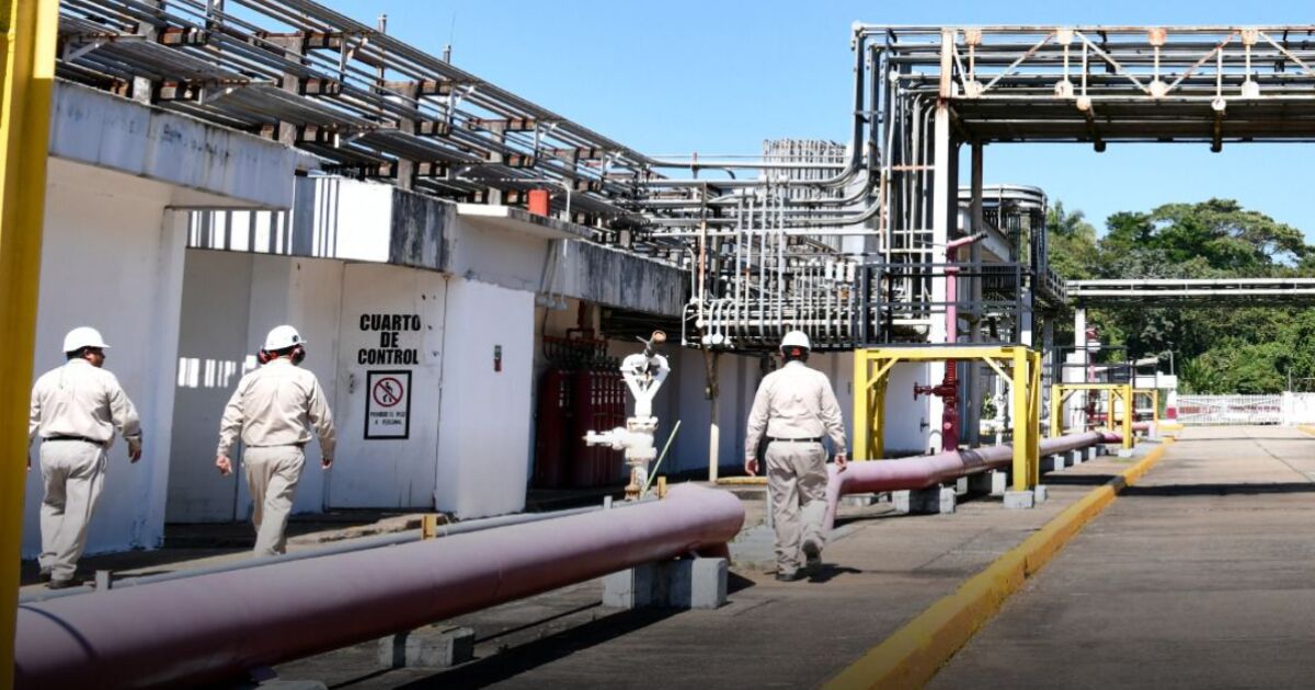 Pensión de Pemex en la mira: La reforma de Sheinbaum que busca topar jubilaciones de 'privilegio'

Los pensionados de Pemex solicitan a los legisladores que frenen la reforma para que el pago mensual a extrabajadores no sea alta.