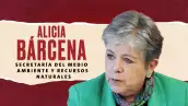 Retos de Alicia Bárcena como secretaria de Medioambiente