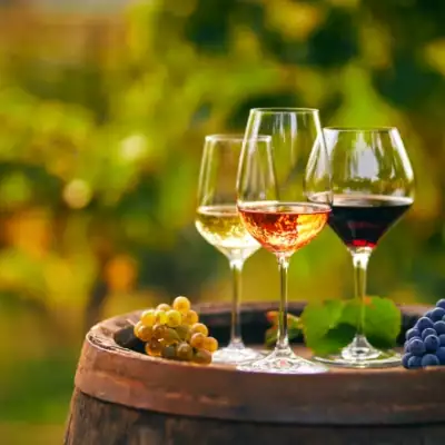 La guía Michelin crea una nueva clasificación dedicada al mundo del vino