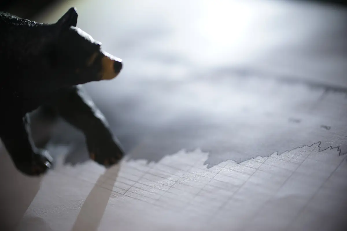 Bear Market