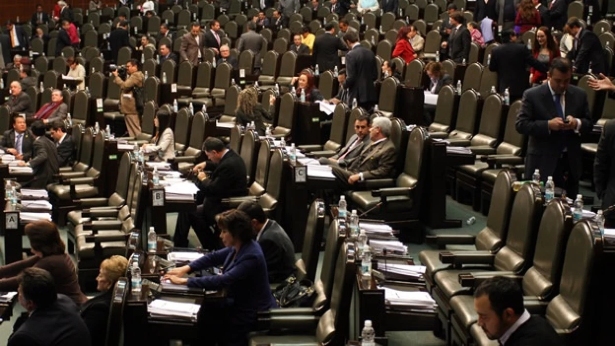 cámara de diputados
