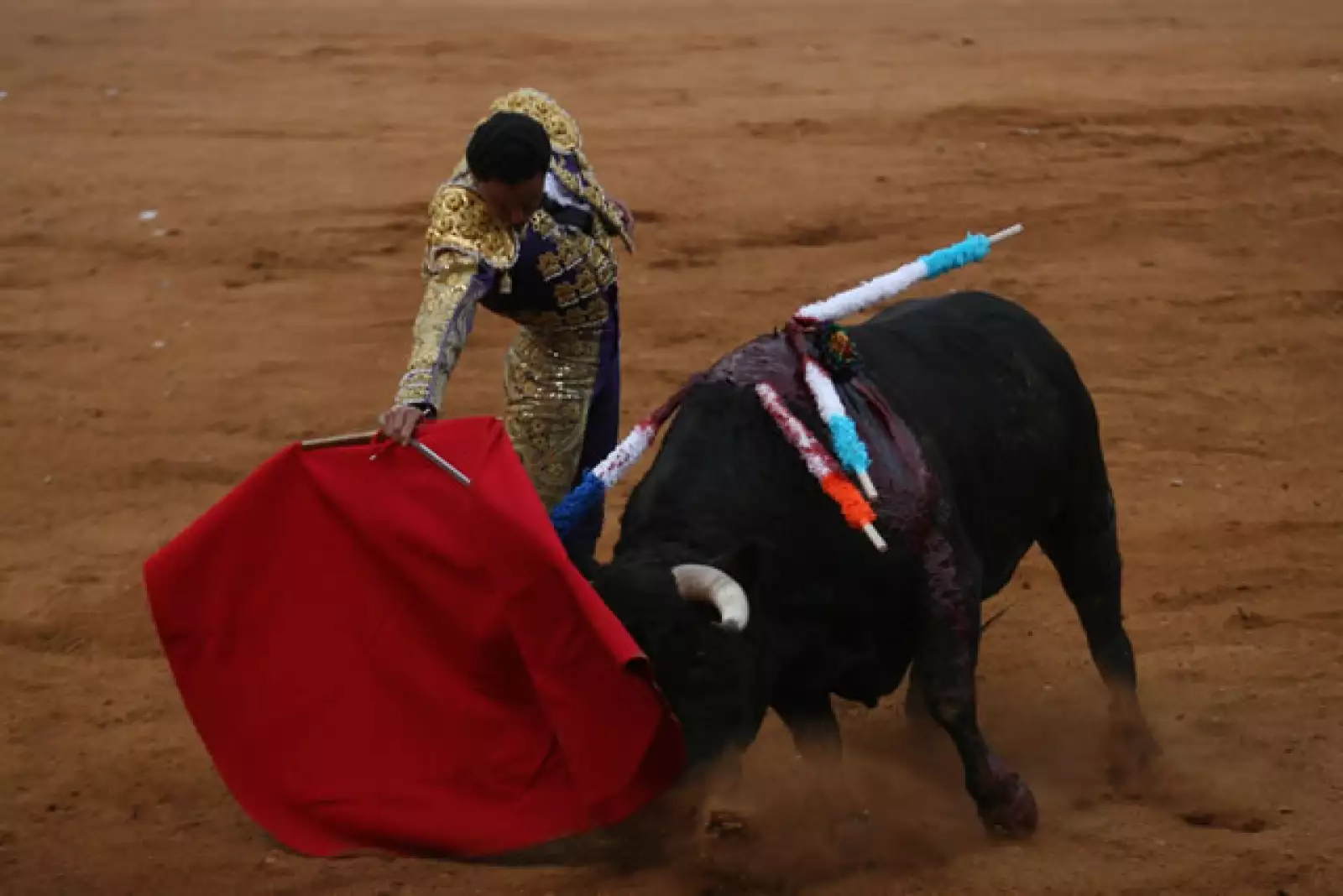 Corrida de Toros 15/02