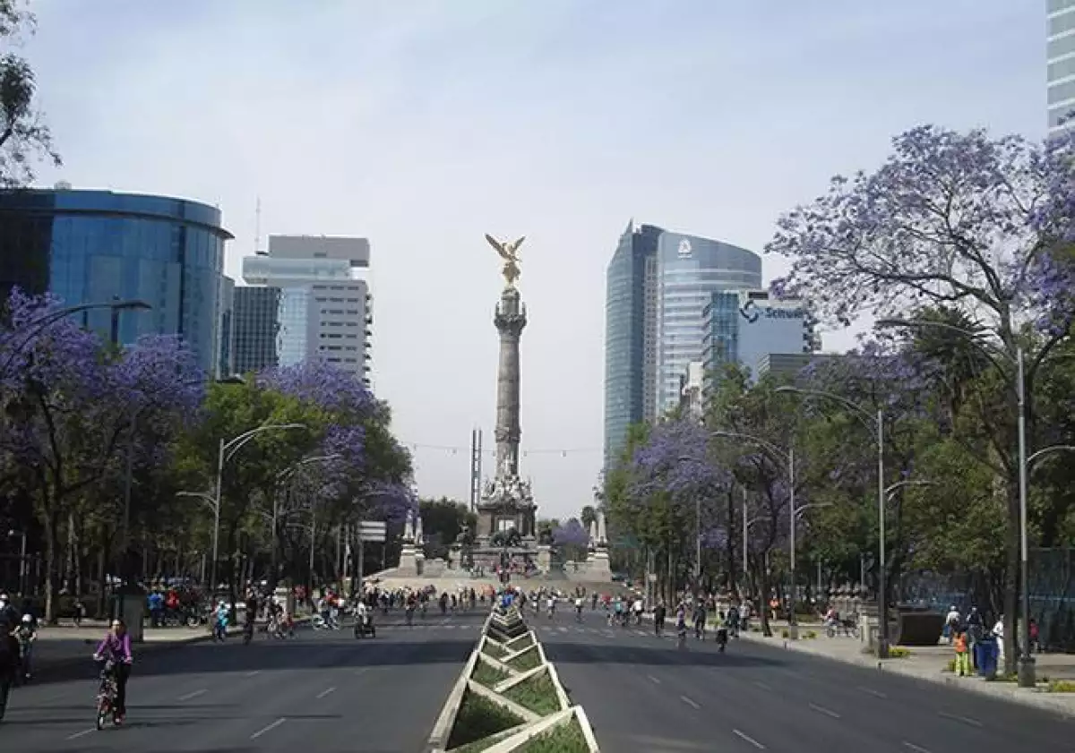 Av. Reforma