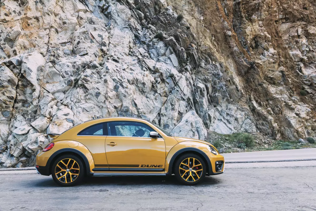 Beetle Dune