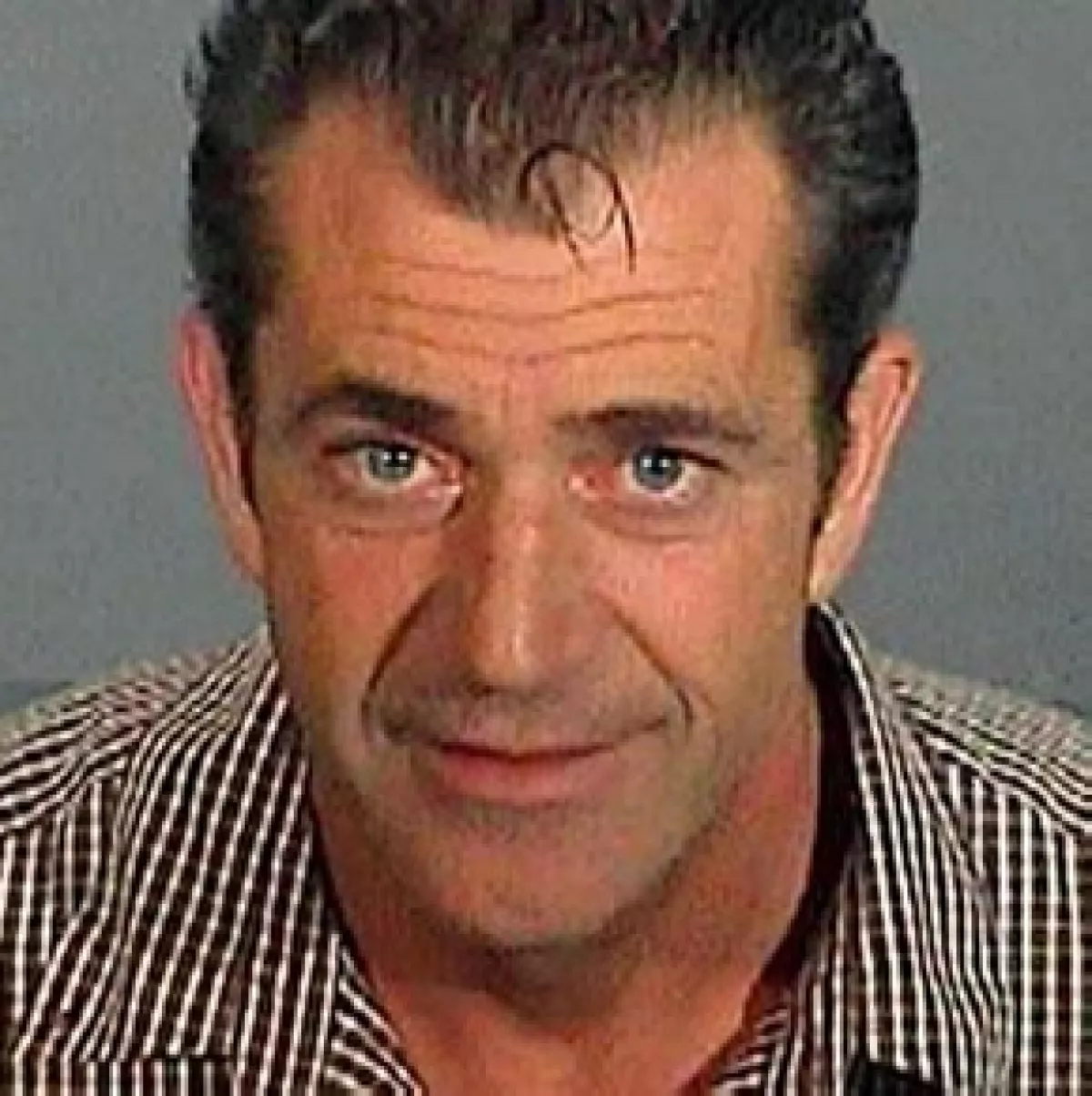 En 2006 Mel Gibson fue detenido por conducir en estado de ebriedad.