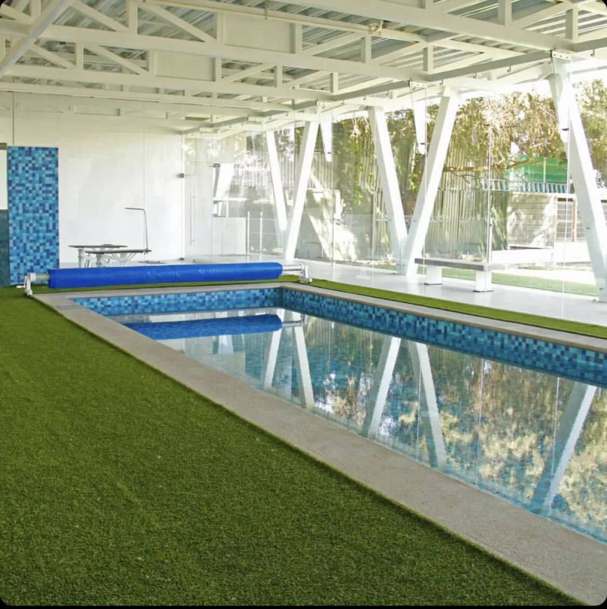 hotel-para-perros-2.jpg