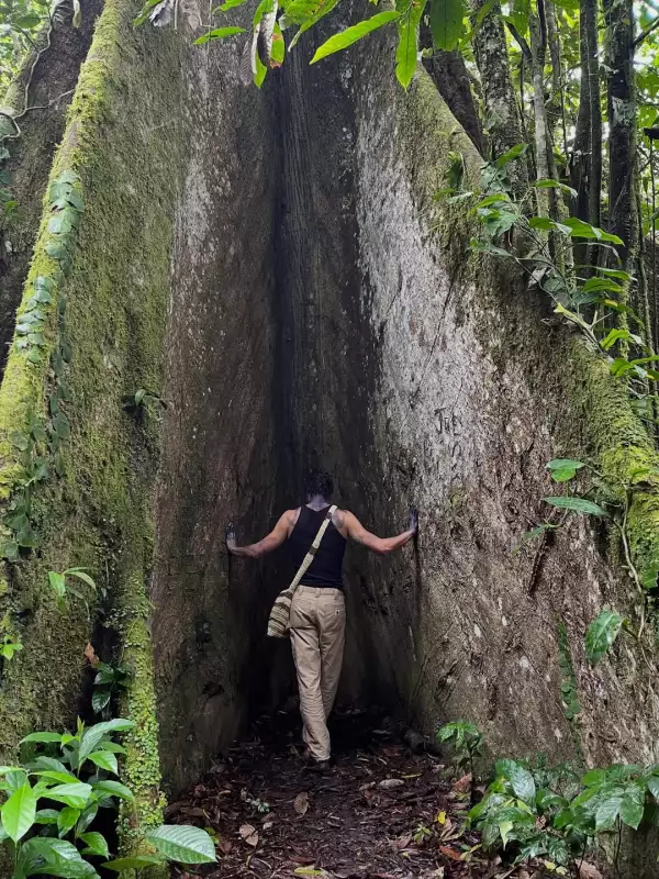 shawn-mendes-amazonia