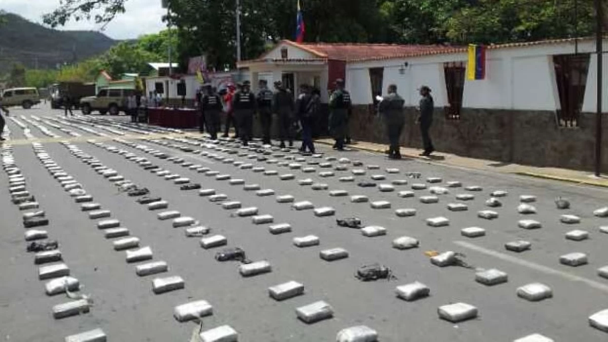 La cocaína decomisada tras estrellarse una avioneta en Cojedes, al norte de Venezuela