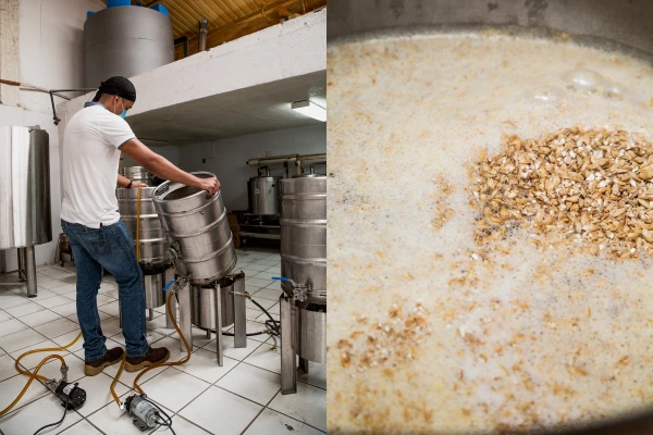 Las maltas que dan vida al mosto que se utiliza para la fermentación son de origen europeo.