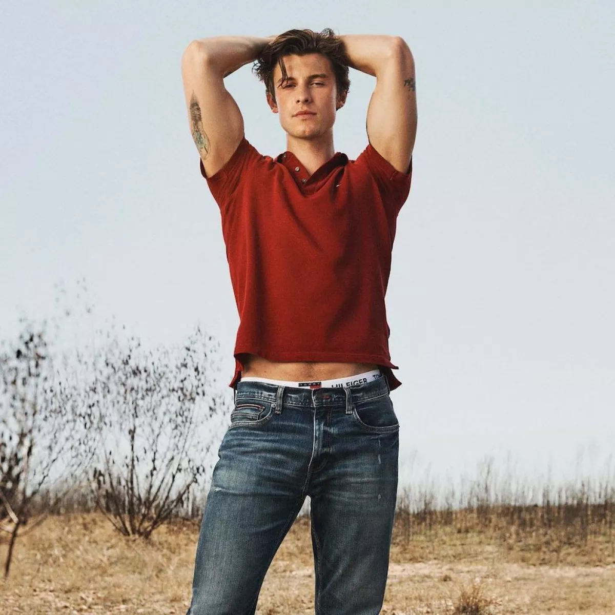 ShawnMendes.jpg