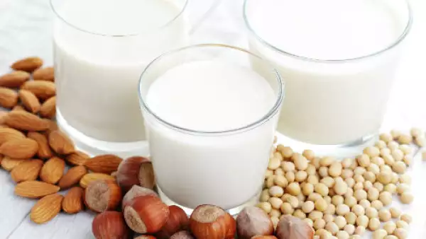 leche vegetal