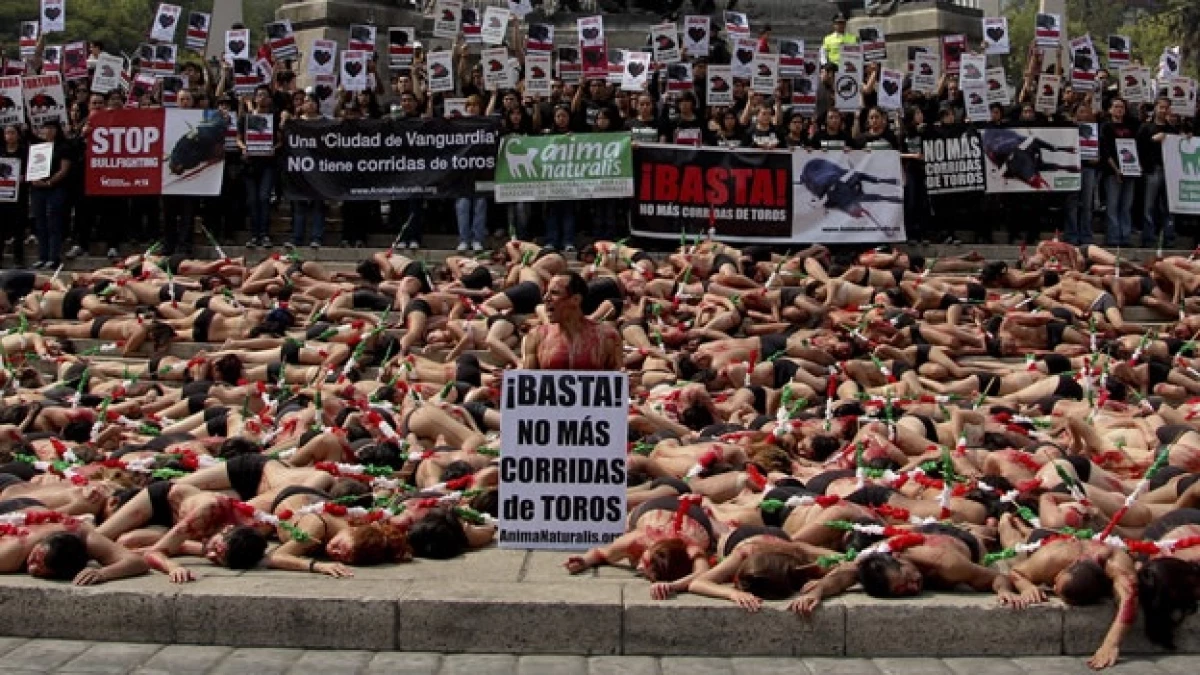 toros protesta distrito federal ciudad mexico