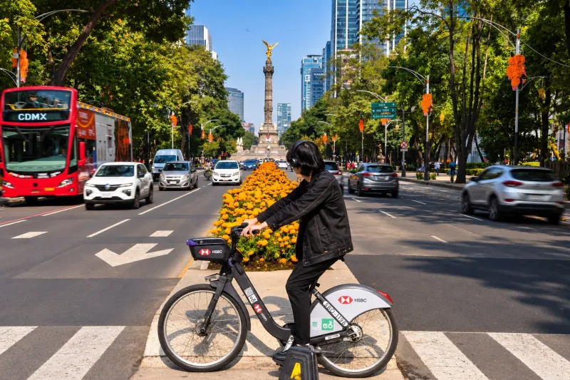 Persona en bicicleta Ecobici frente a un camellón con flores de cempasúchil sobre Paseo de la Reforma, con el Ángel de la Independencia al fondo y adornos de Día de Muertos en los árboles.