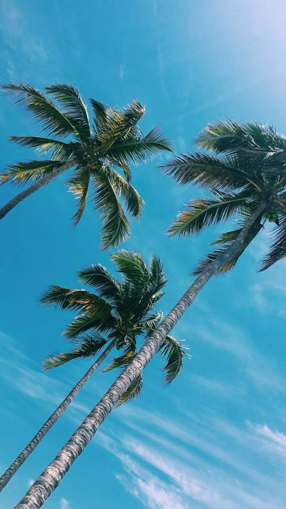 Arte-Careyes-2018-16