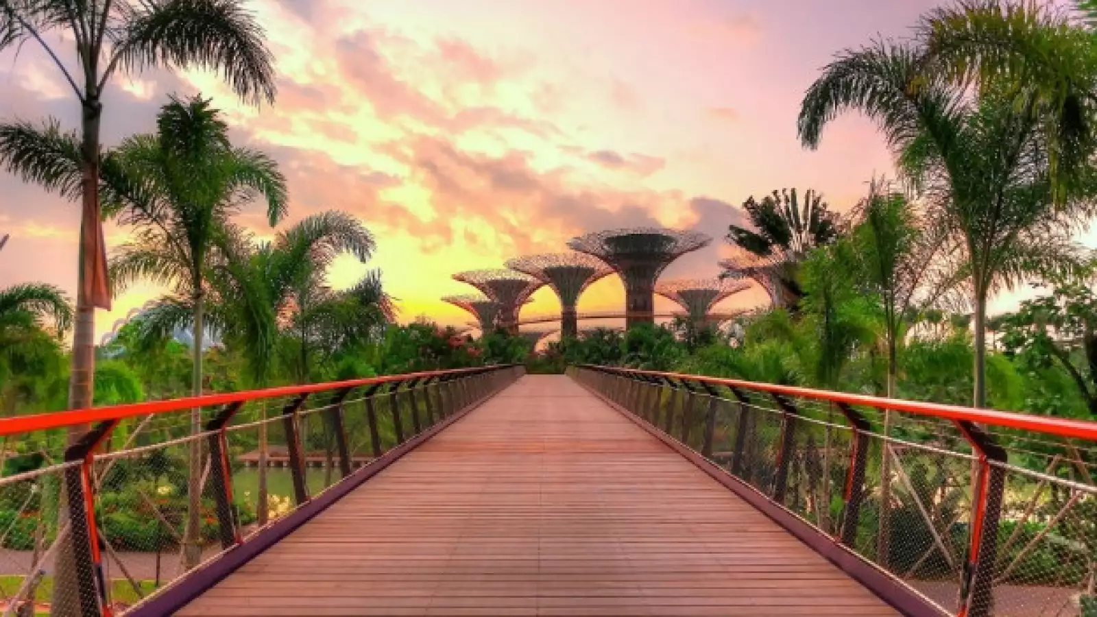 singapur super arboles 05