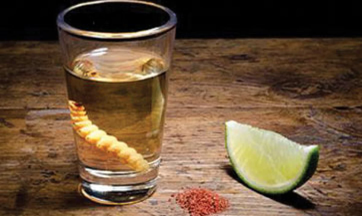 mezcal