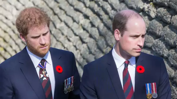Príncipe Harrt y el príncipe William