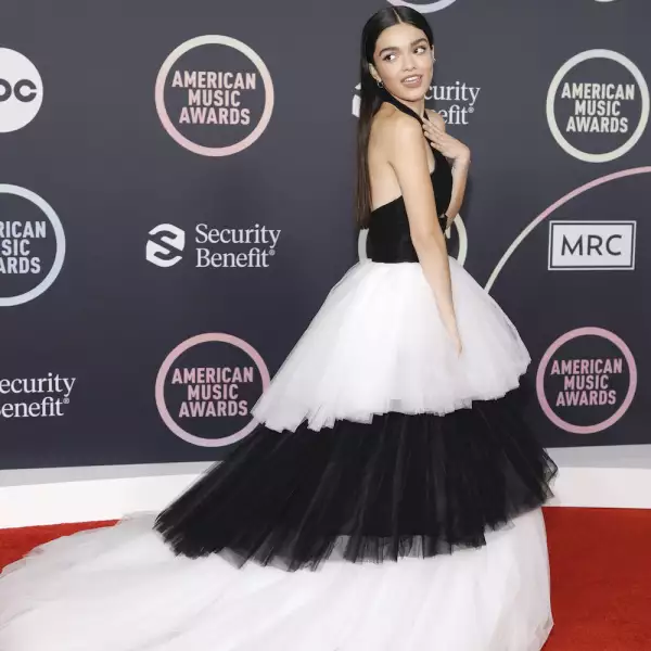2021 American Music Awards - Arrivals