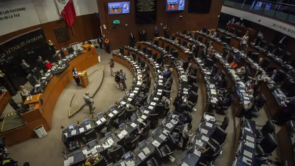En la imagen se ve una sesión del Senado. 