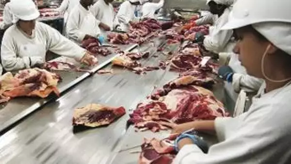 productora-carne-jbs