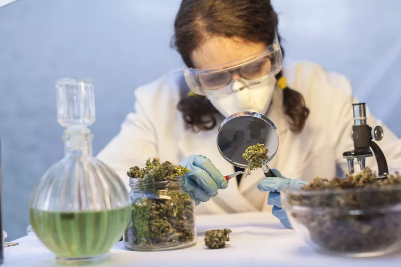 Young Woman Preparing Homeopathic Medicine from Marijuana